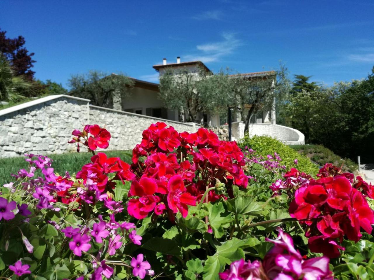 Relais Colle San Giorgio Bed & Breakfast Bardolino Dış mekan fotoğraf